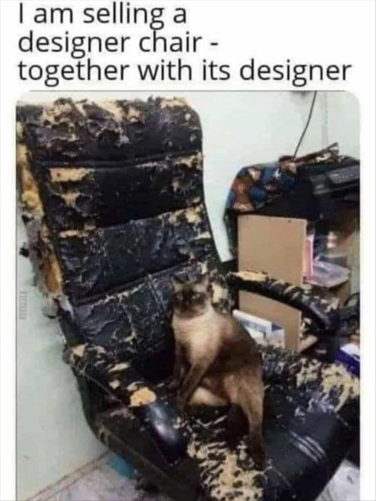 705192169_designorchair.jpg.15745a975371680af7485e1c443e764d.jpg