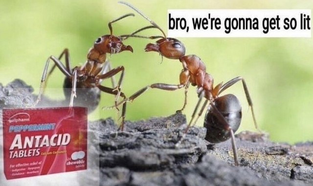 Antacid.jpg.06eca0c4b54a7489fdbbf553ebc6f369.jpg