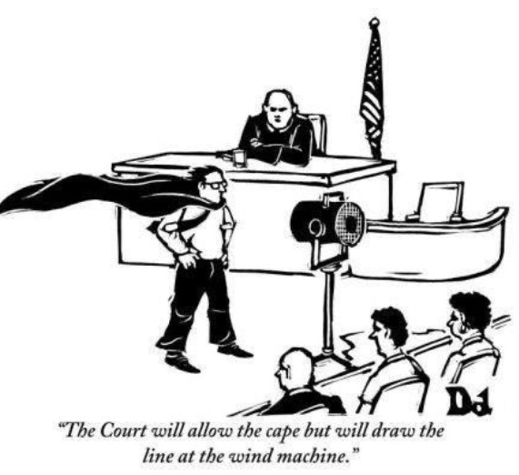 Cape_case.jpg.d28d23f59b9614f10ae7669a041199ff.jpg