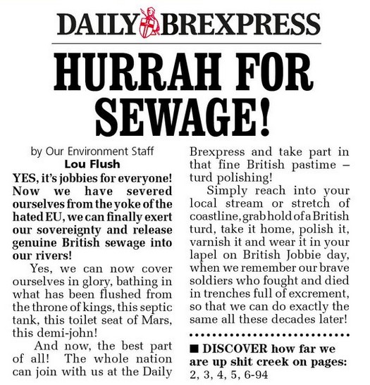 DailyBrexpress_SewageJPG.jpg.b826237b22e0cc4e82cd82e3283f12b6.jpg