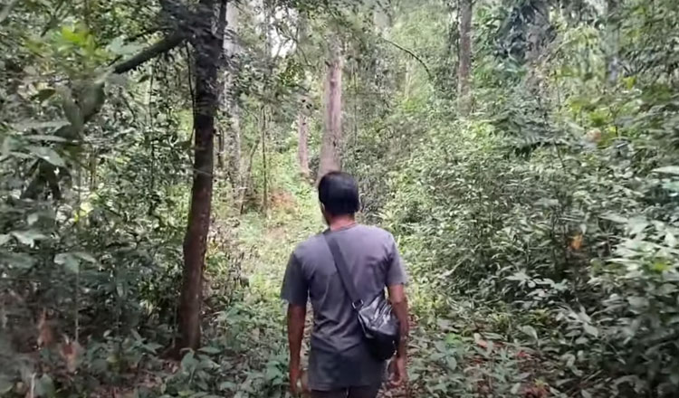 Exploring-an-abandoned-Cambodian-temple-deep-in-the-jungle.jpg.96c1c5b2bdadbe33eac1e5d5b24ca37d.jpg
