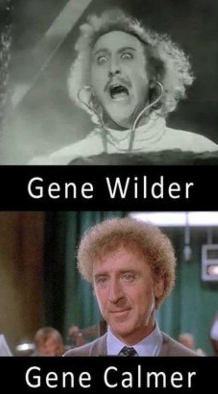 GeneWilder.jpg.b6df08995871312f7a69ec2a39846121.jpg