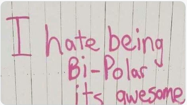 HateAwesomeBipolar.jpg.42bba644f21d203a708c9ff5814d92c1.jpg