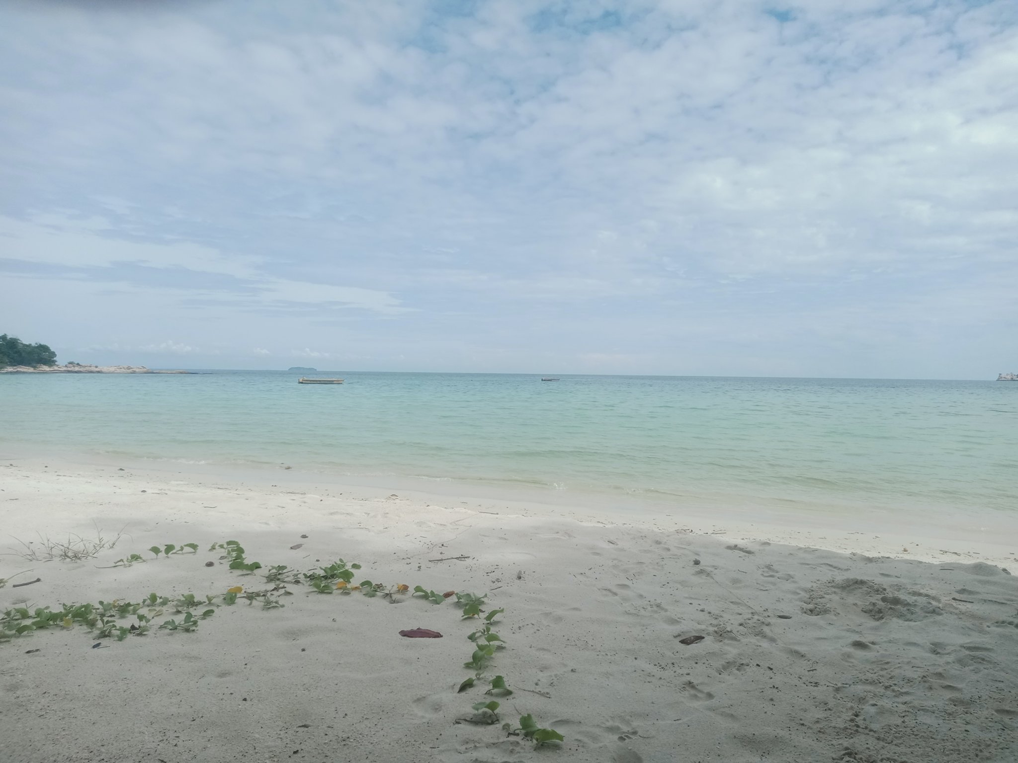 IMG20211022130612.jpg