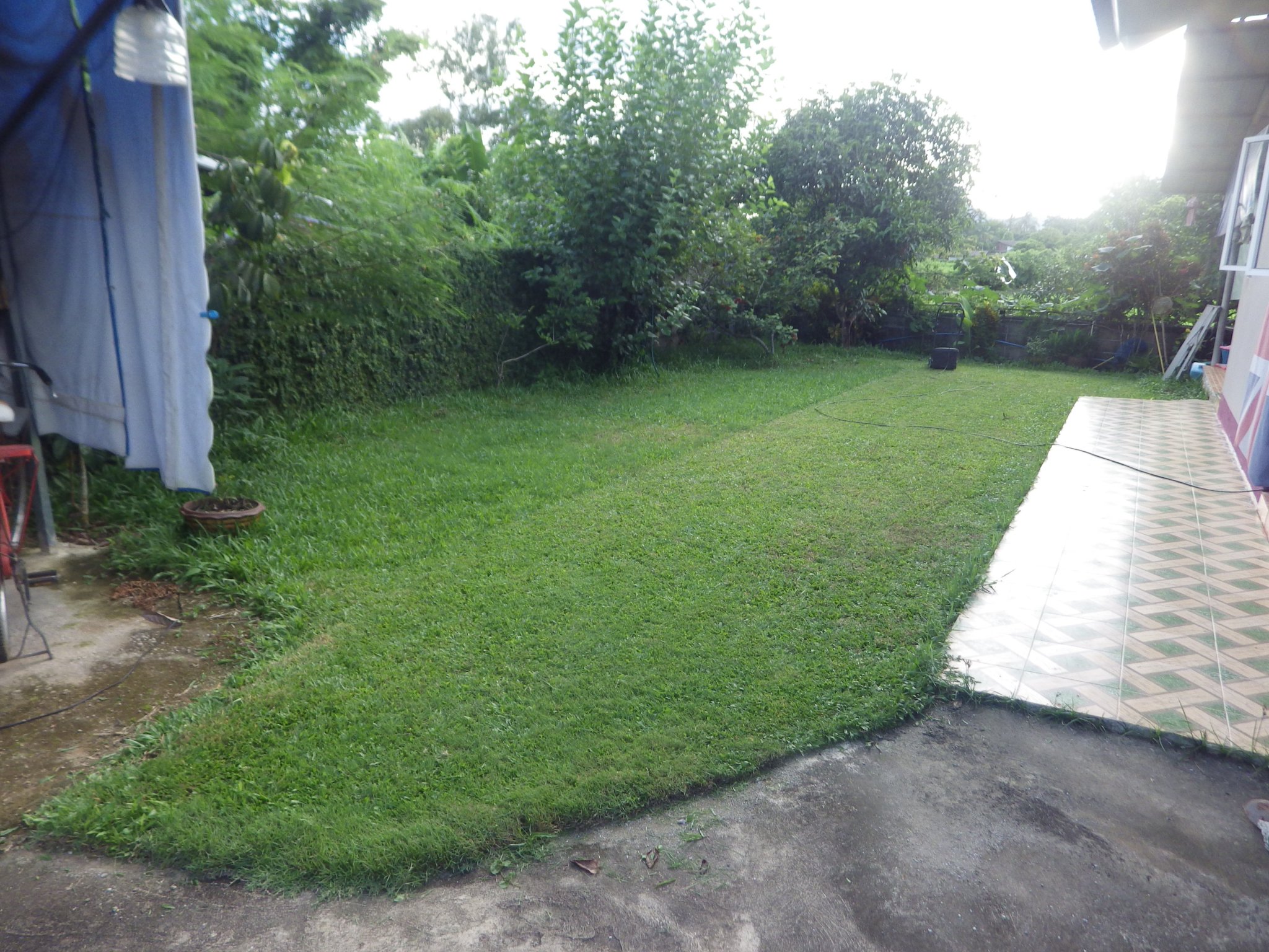 IMGP0056.JPG