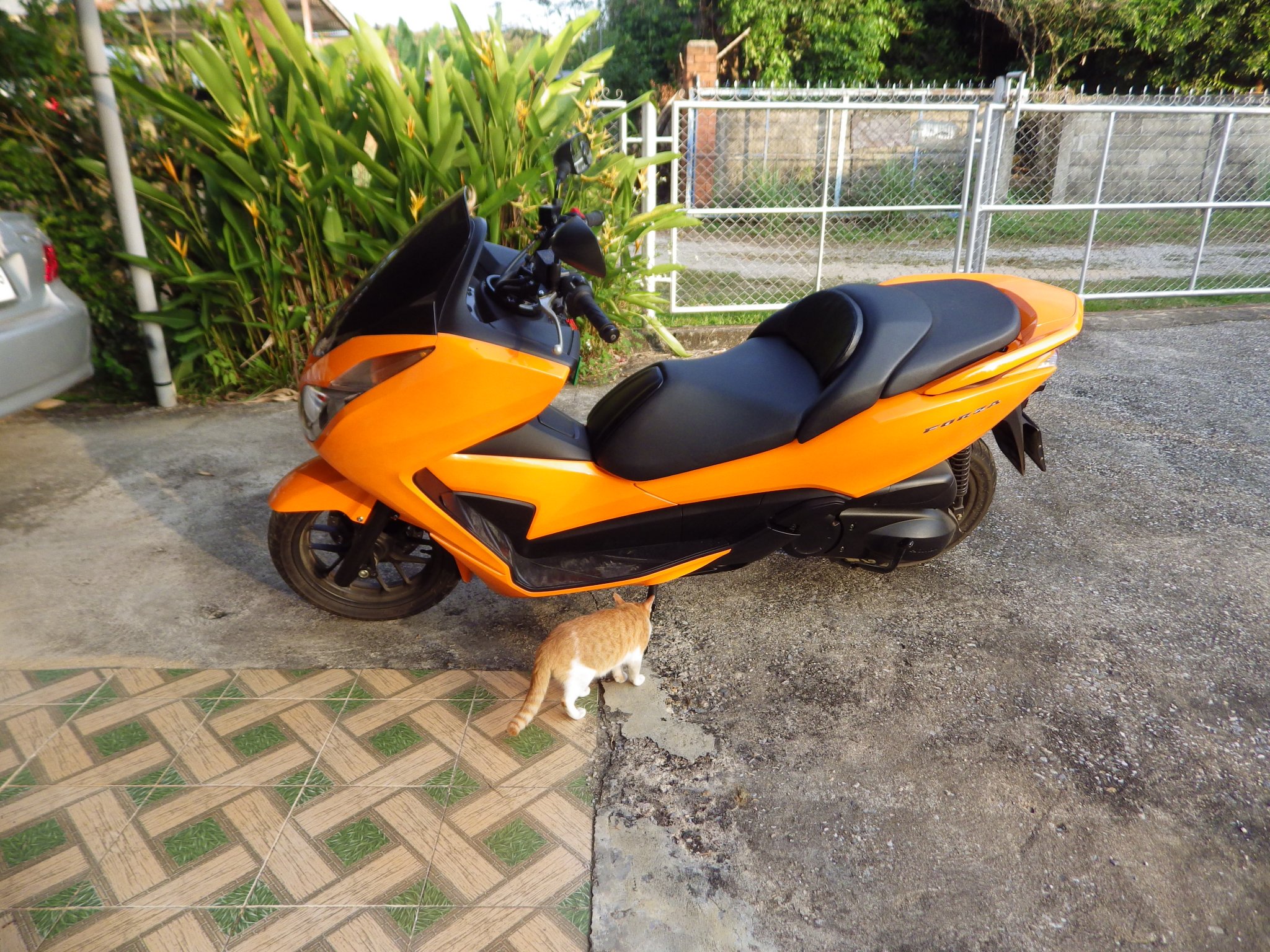 IMGP1290.JPG