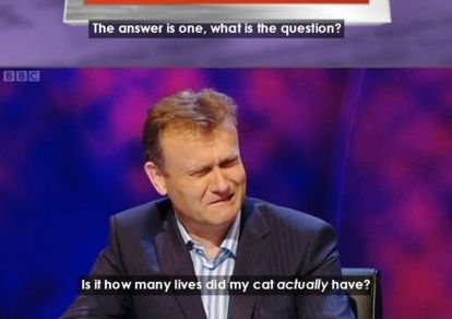cat.jpg.a046580614532f8a7c2609a7e1bcdae5.jpg