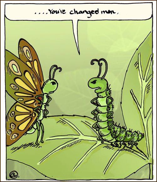 caterpiller.jpg.05d1720714b1ee1fbdafe4476e97b140.jpg