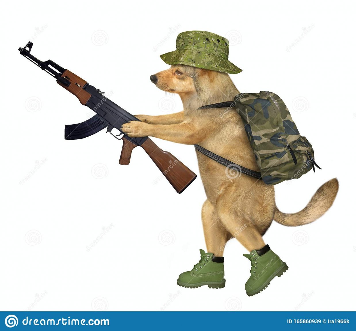 dog-soldier-holds-machine-gun-beige-dog-soldier-army-helmet-boots-military-backpack-holds-big-kalashnikov-165860939.thumb.jpg.a7b93da3e1cf6ffd8a7fccac207b2b37.jpg