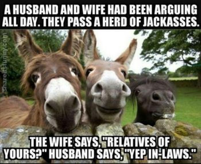 herd-of-jackasses-350x285.jpg.2a7cc41b306988d1090a1ef14f805af8.jpg