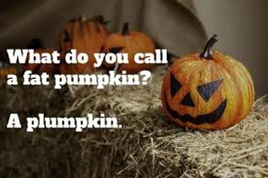 plumpkin.jpg.c6bc67a07c9072d9cbeb9307318df802.jpg