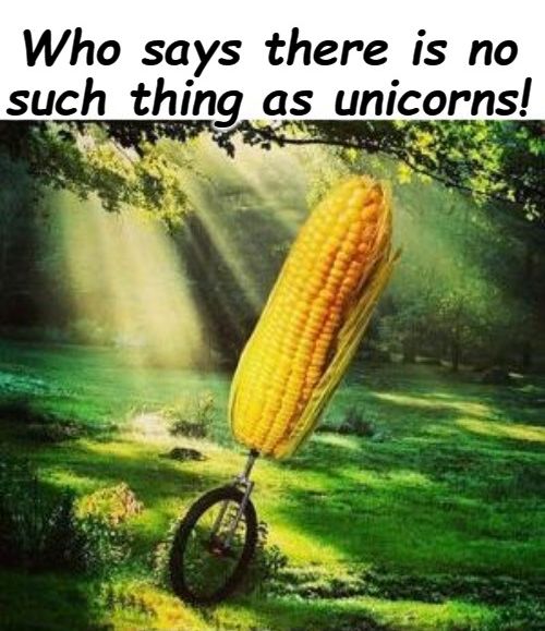 unicorn.jpg.2685645efaeb41a3e5ced2b7cdaa636e.jpg