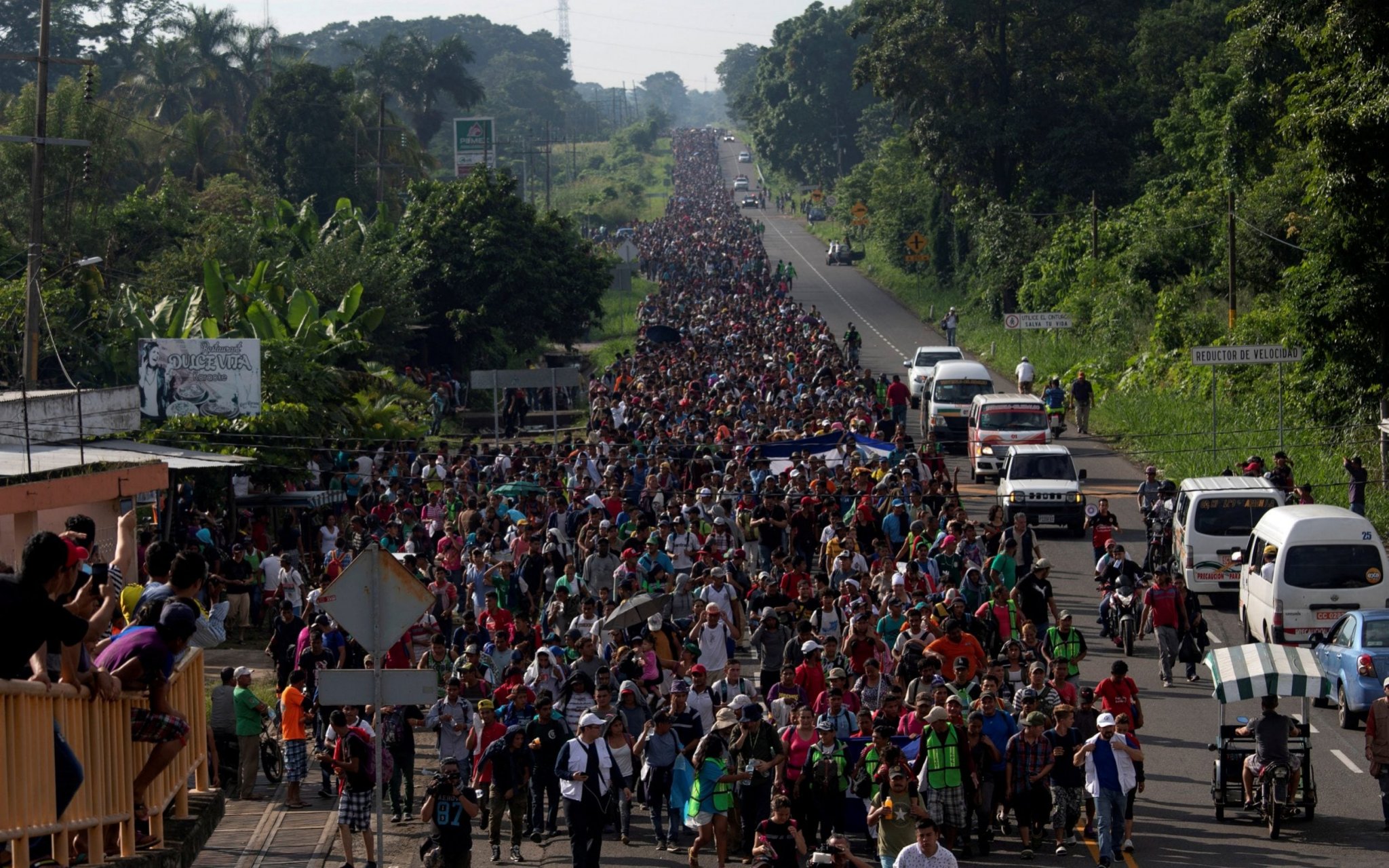 0636CD48-3DE7-46F3-A72E-952A09F2C092.jpeg