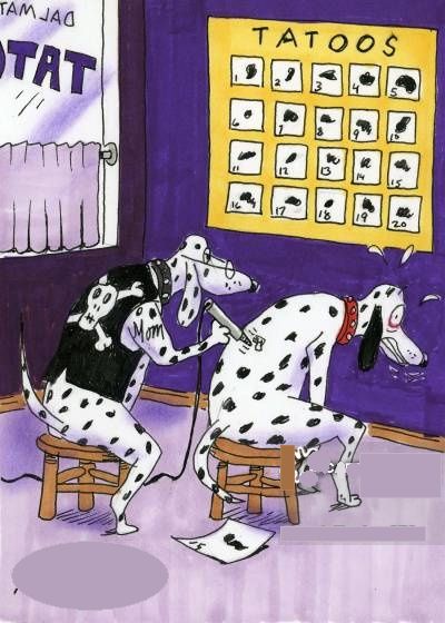 1009873635_dalmationtatoo.jpg.ca9fcc01c5a9a9632b2ad52506505fd6.jpg