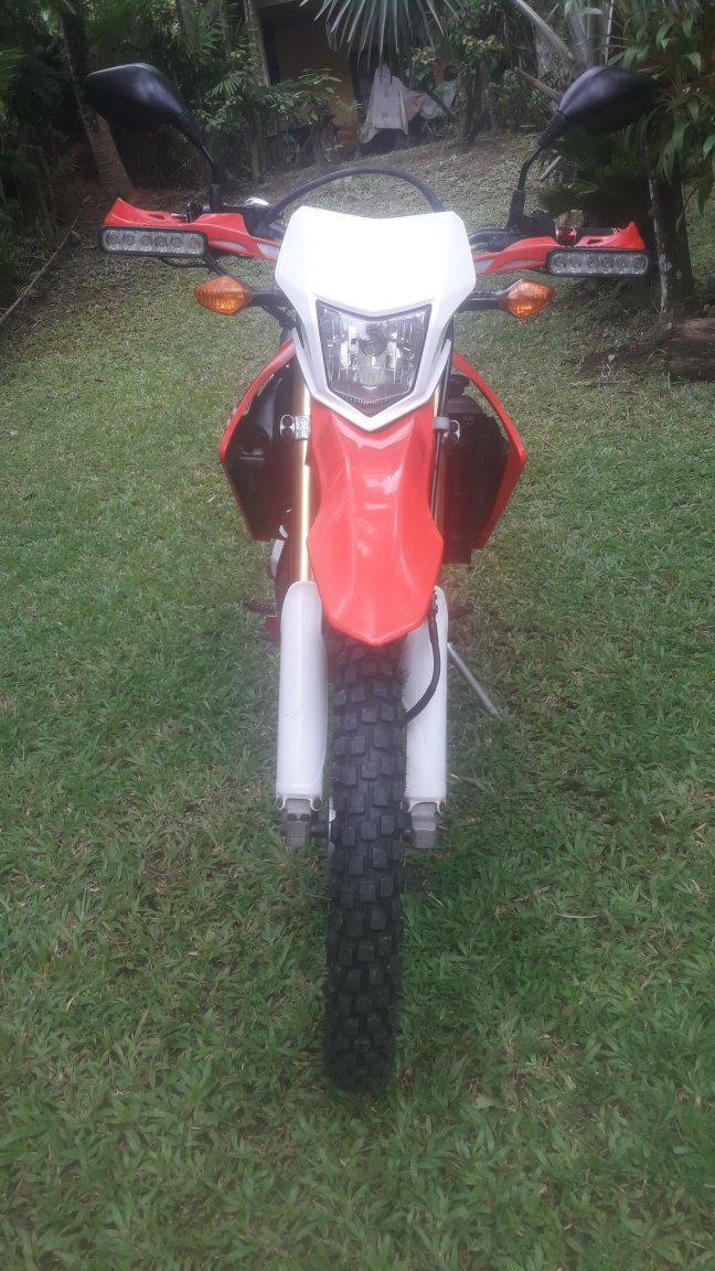 CRF 004.jpg