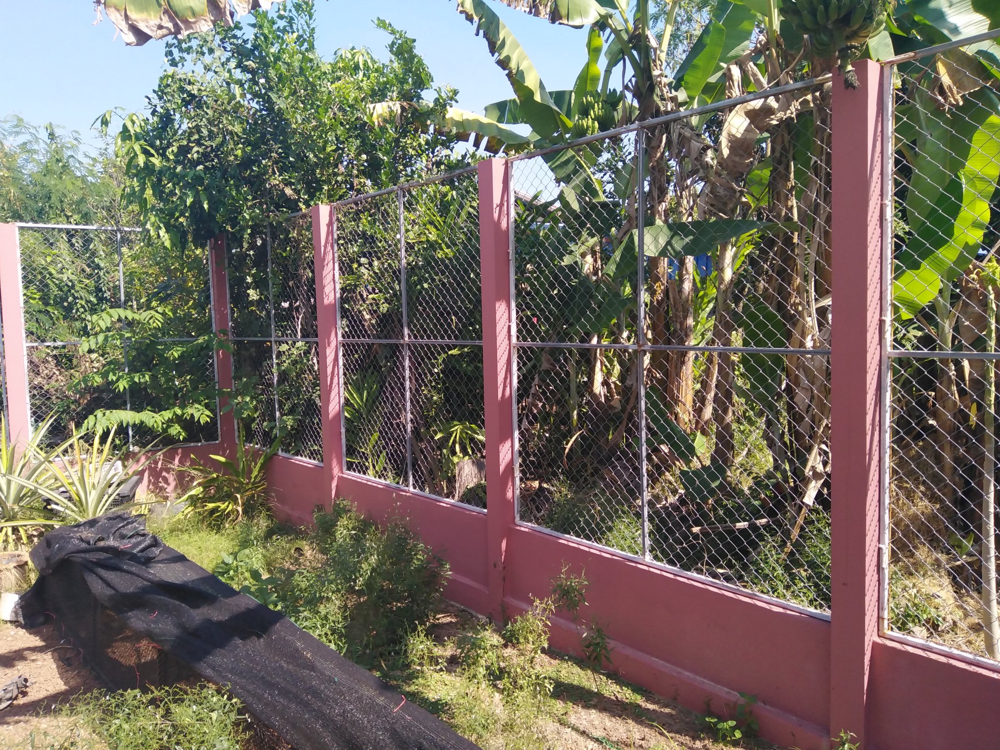 East fence.jpg