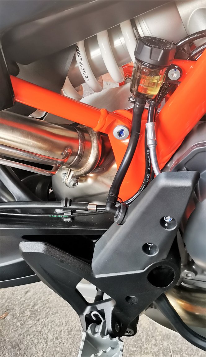 IMG_20211125_101120 corr1.jpg