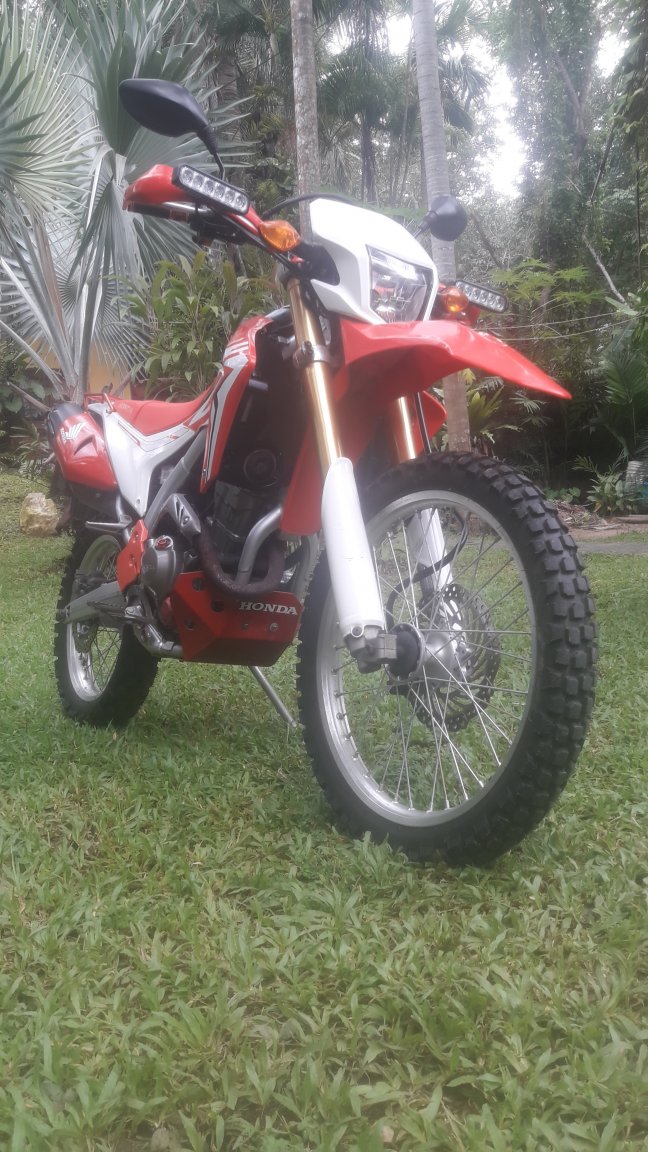 CRF 001.jpg