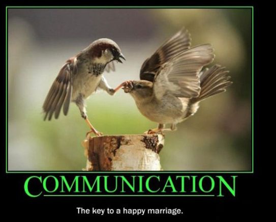 58406760_birdcomms.jpg.f0f784c979b613b2ec0e64c838902587.jpg