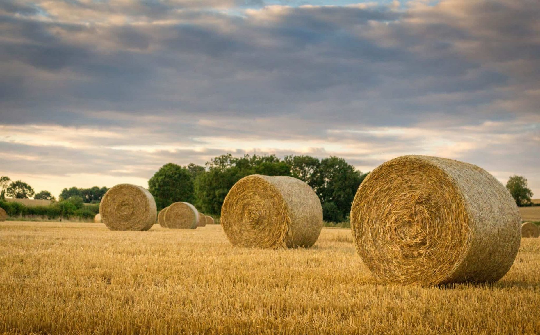 Canva-Hay-Bales-scaled.jpg