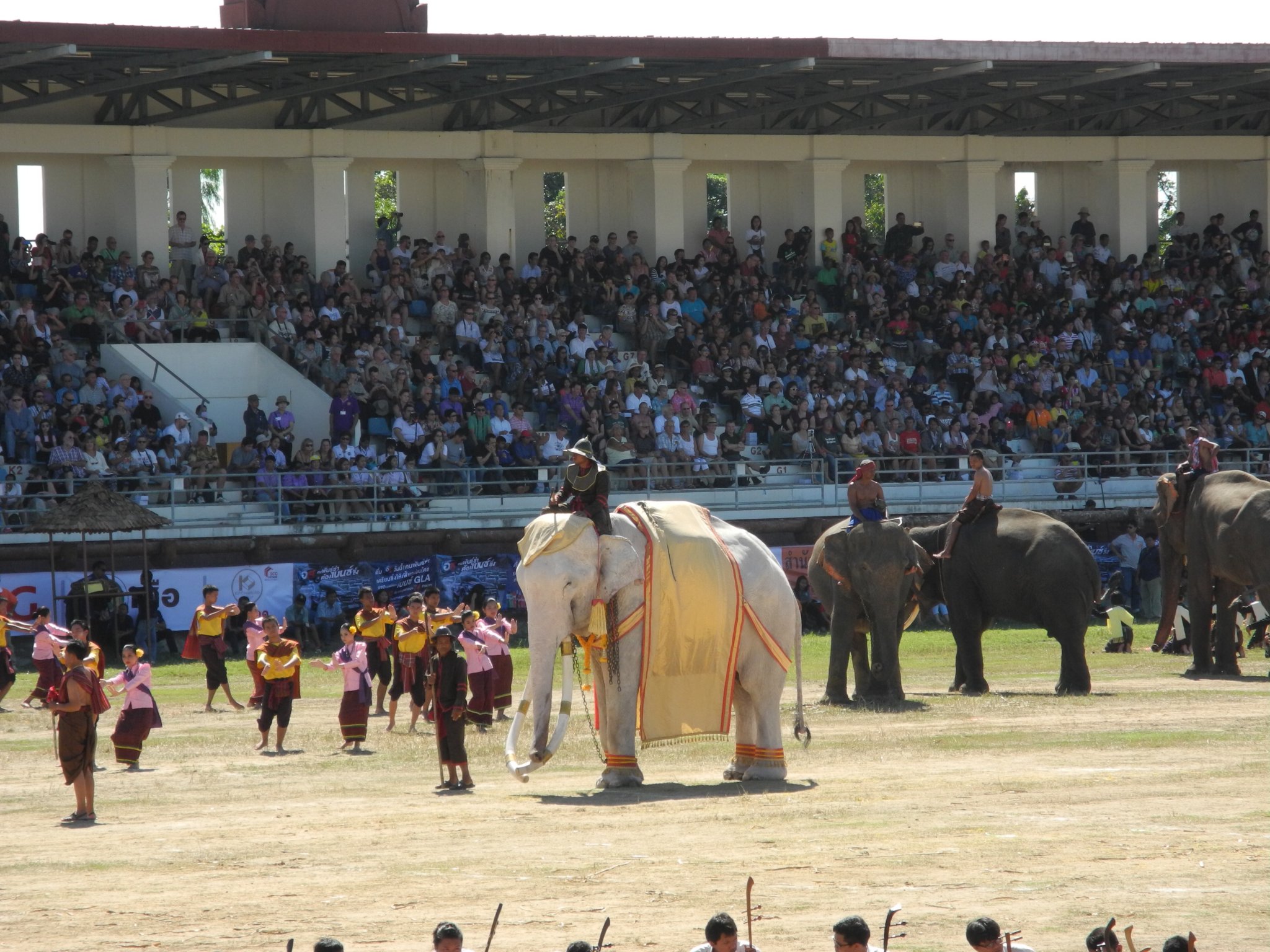 DSCN8428.JPG