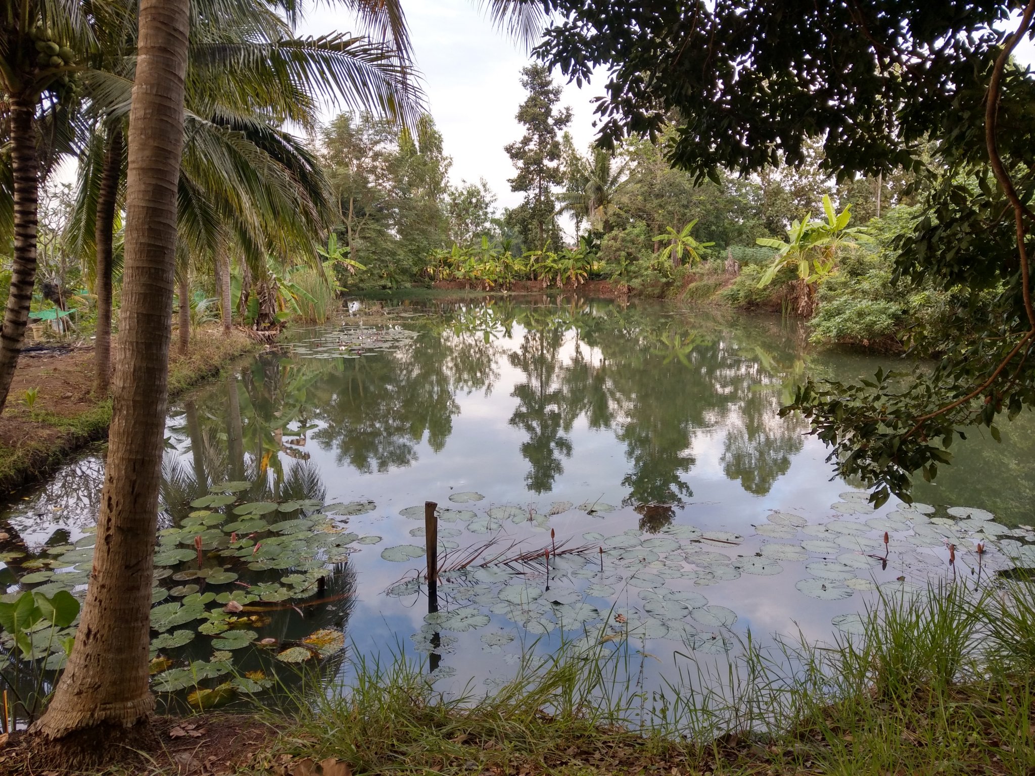 IMAG1348.jpg