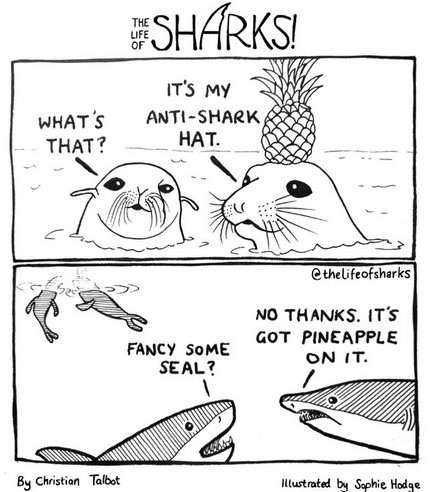 LifeOfSharks.jpg.0ae66ba994311fe5b7568dc8f0187881.jpg