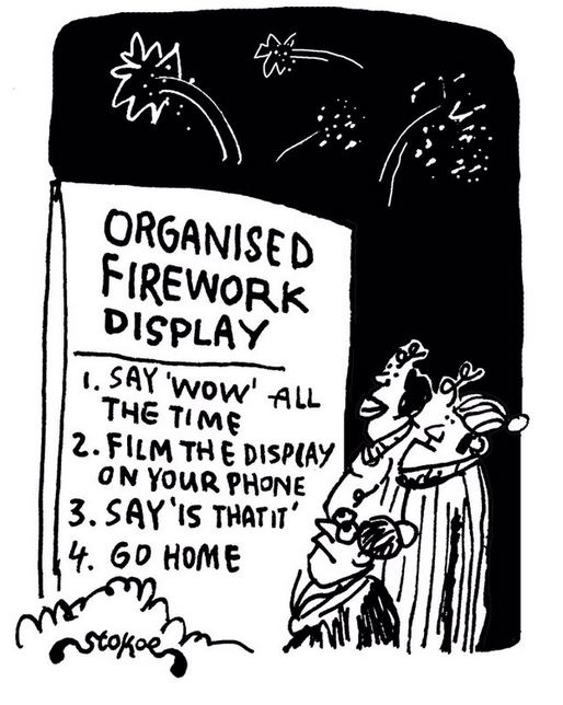 OrganisedFireworks.JPG.80ba2cc95f0f6cb9d2c68eaa9b2ddc4b.JPG