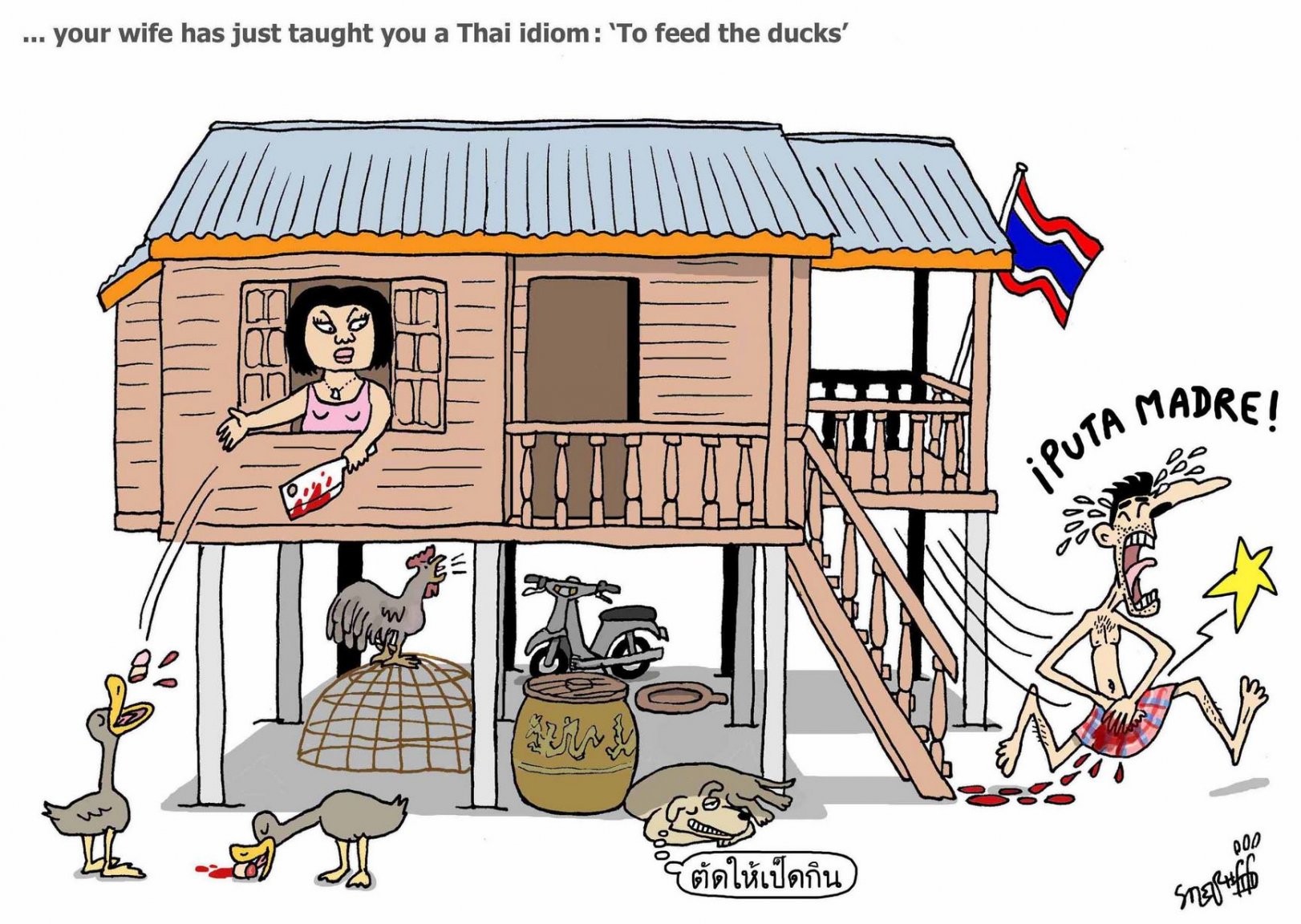 ThaiWifeIdiom_Stephff.thumb.JPG.3cb99d7ff883a59bb6f57ed2394bb388.JPG