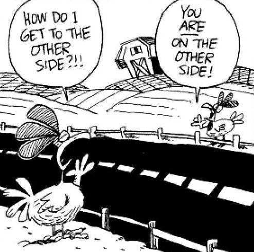 chick3.jpg.c736e9cb93ba1a674b01fbdc342e104d.jpg