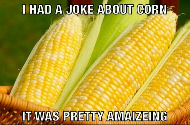 corny.jpg.c54b142dc85b8e26a235159b38a4010d.jpg