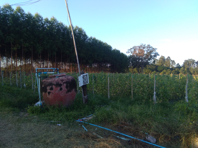 eucafarm00.png.6a54dc1ab215cf6be6e84b3d30522309.png