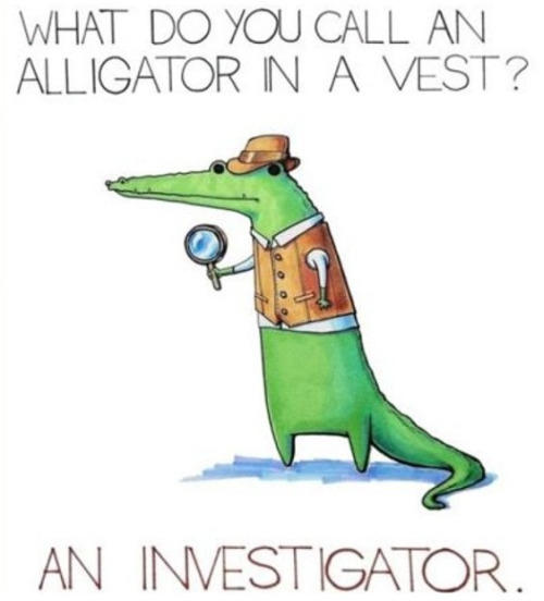 investigator.jpeg.578c8dc768832defb5cad472f047f3f9.jpeg