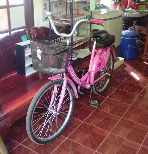 newbike.png.ab89ba2c9ceec5a75464a518dd186abf.png