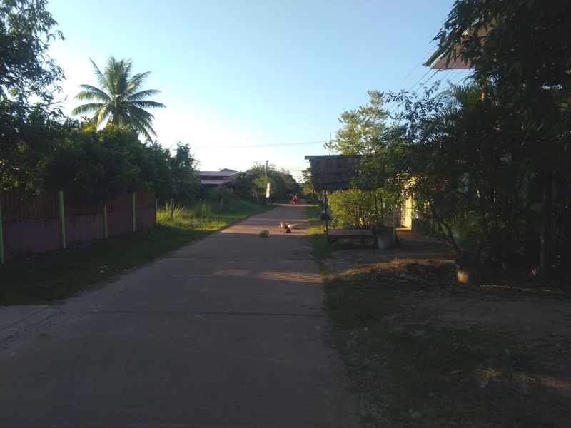 quietsoi.png.cf8abddef8bcaf7f1d5dc690c51aa855.png