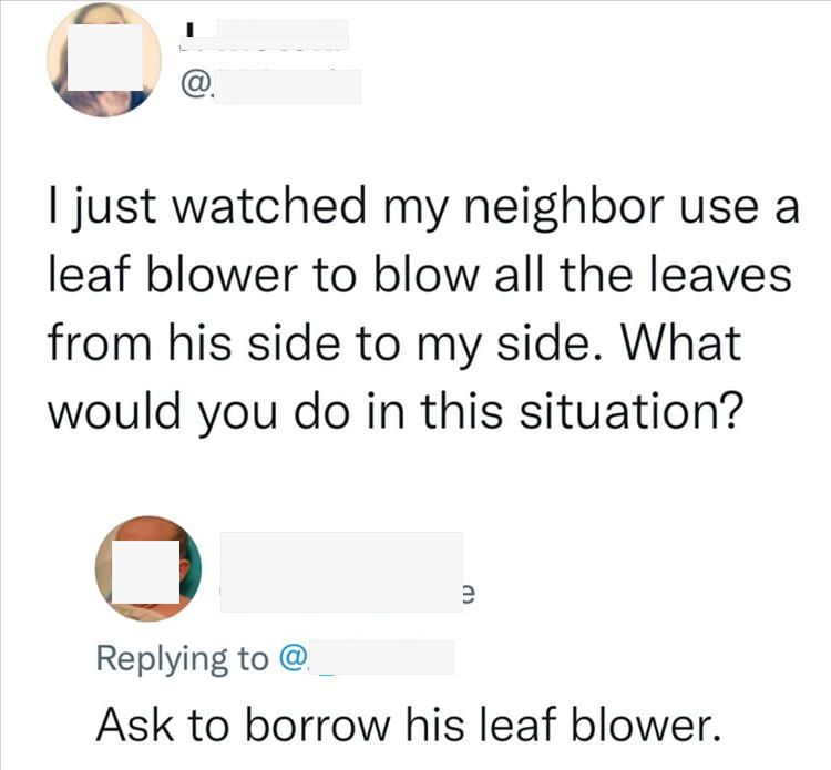 you-use-the-leaf-blower.jpg.ea75e5bfc8db9a136593c70c75355b43.jpg