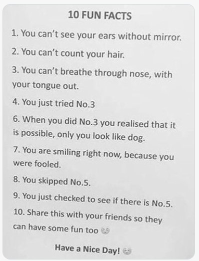 10FunFacts.jpg.c788a696dbac4307afcb516aab0a72af.jpg