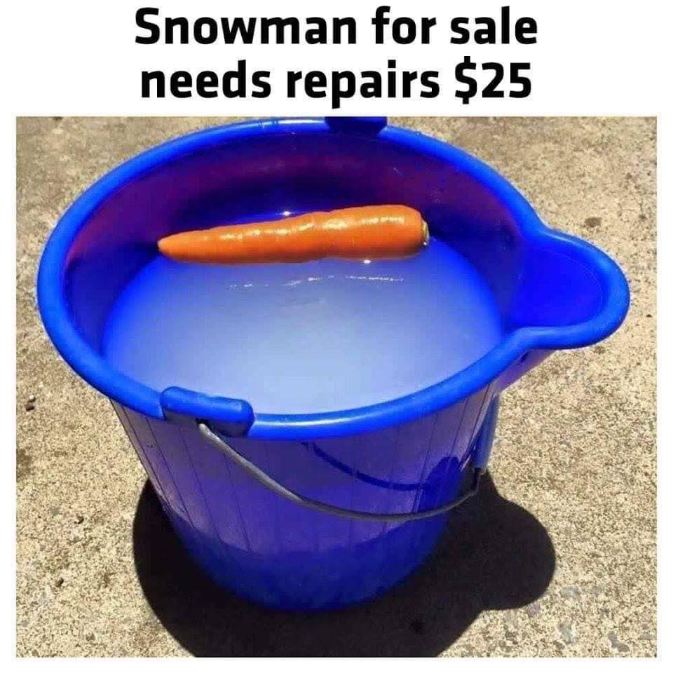 1208500570_snowmanrepair.jpg.07eaf3a5235378f0fda6b8efa36a285e.jpg