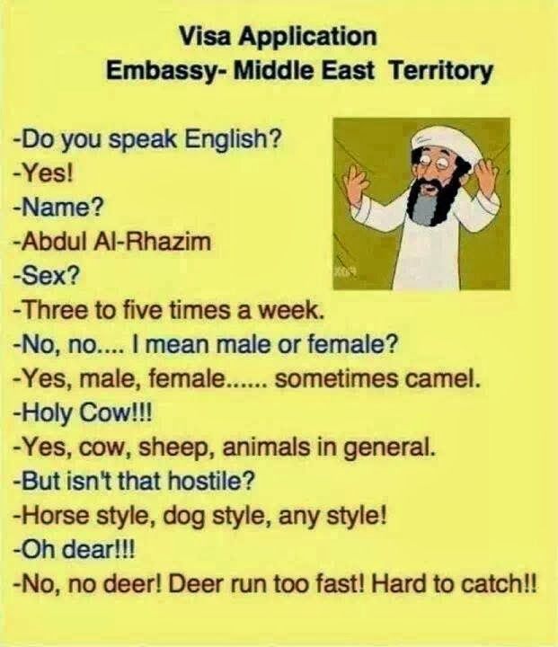 1457012293_visappenglish.jpg.77cc750a6e53f89094b97f0363935186.jpg