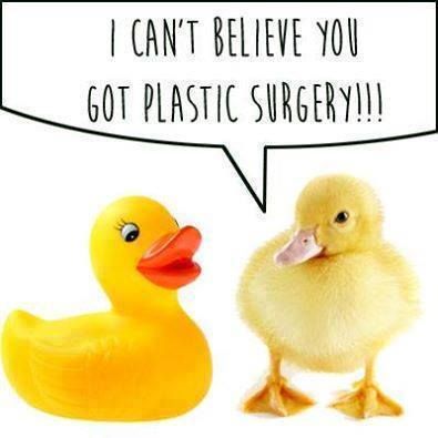 1530518146_duckplasticsurgery.jpg.5aaada027dd98ed99cb9c118263bec53.jpg