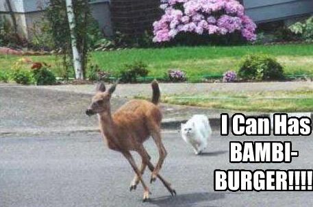 1562571476_bambiburger.jpg.b34611ac93caf4fccd9b617ee7cd8dca.jpg