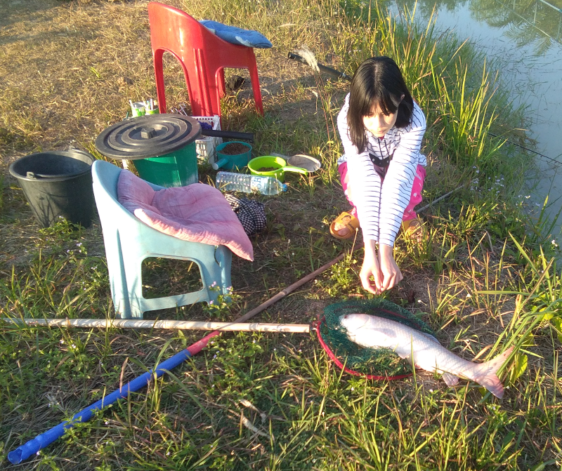 410322052_milcatchcarp02.png.1cda4f778fbee9da43fea1e188a28056.png