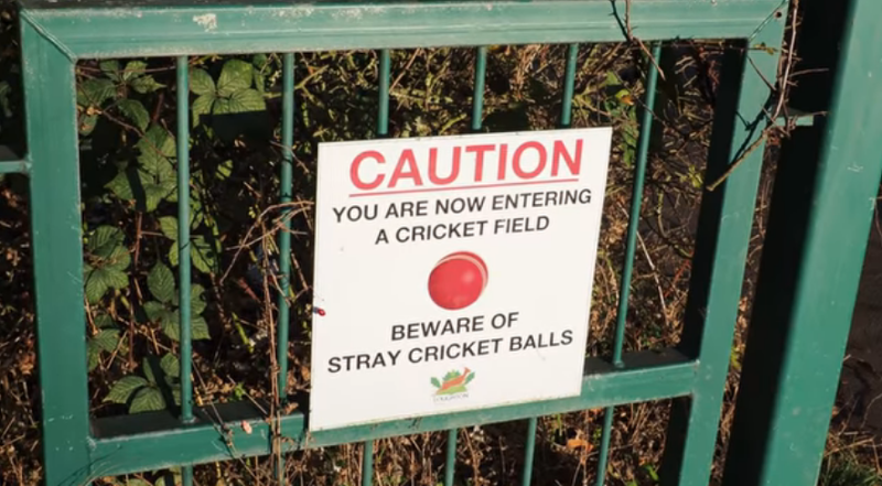 540687655_cricketballs.png.d7f16233c1b297903b3d6cc0ac2b4f98.png