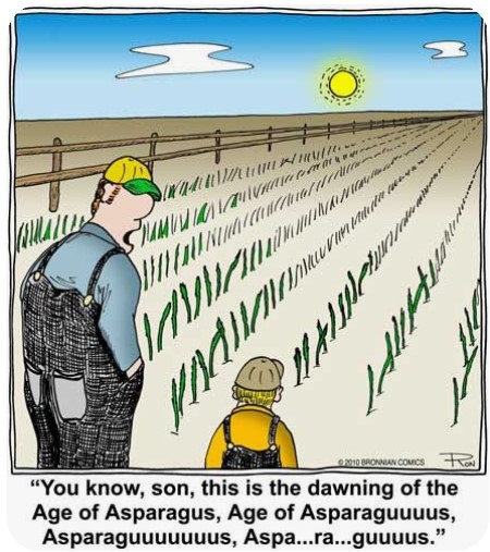 Asparaguuuuus.jpg.4ab5905ac0b23718d6b8bf04627507f5.jpg