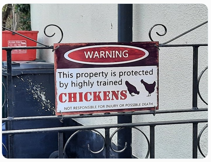 Chickens.jpg.7a7d013d21e1e96a2d15d3d2fddc57ea.jpg