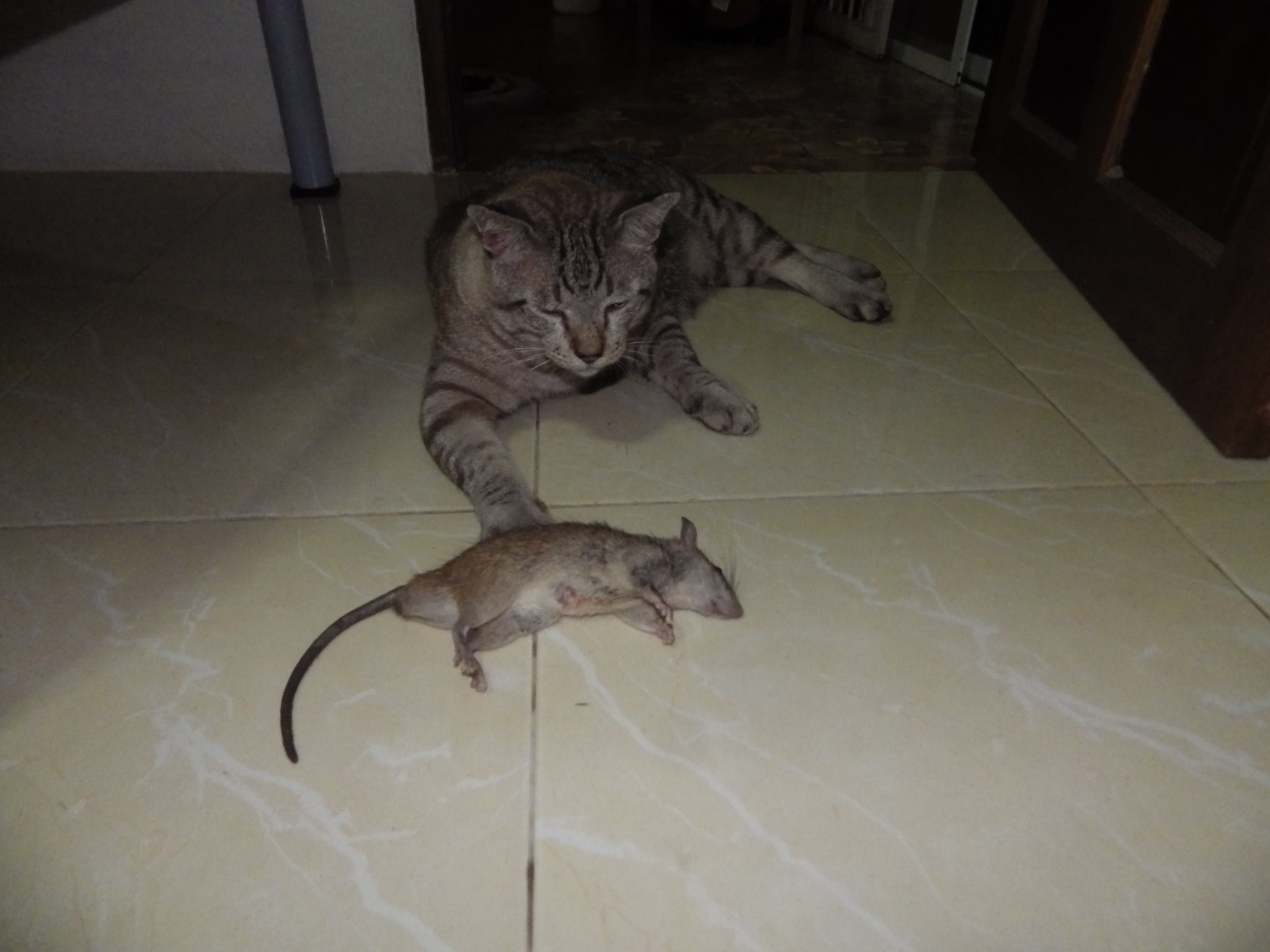 IMGP0089.JPG