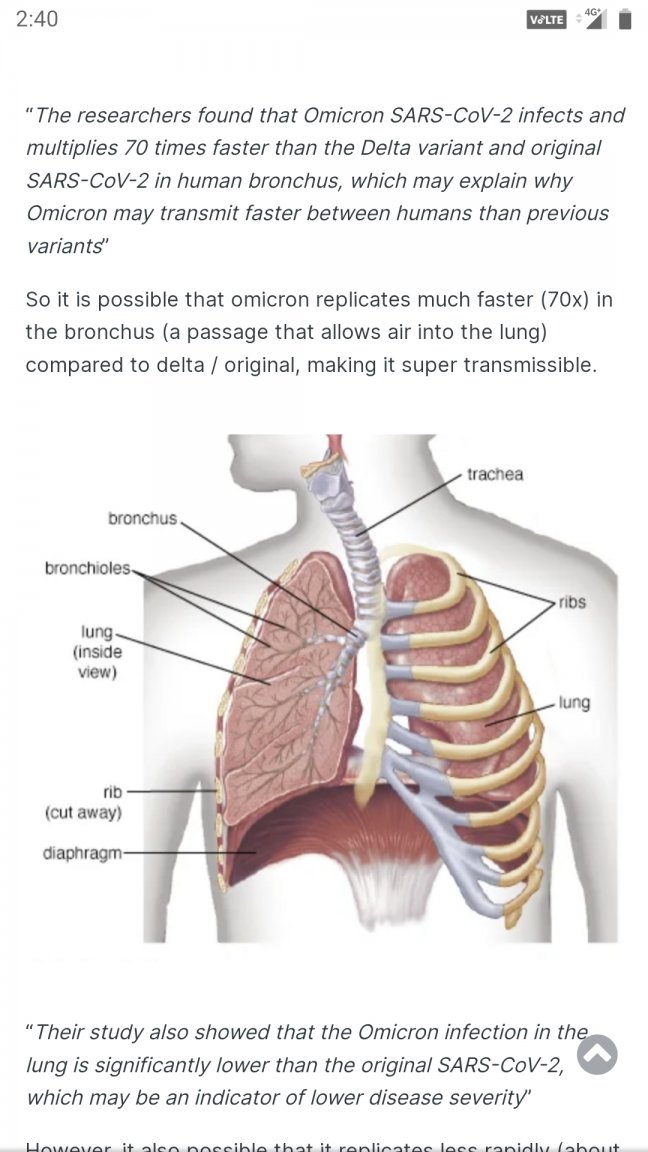 Screenshot_20211215-144010.jpg