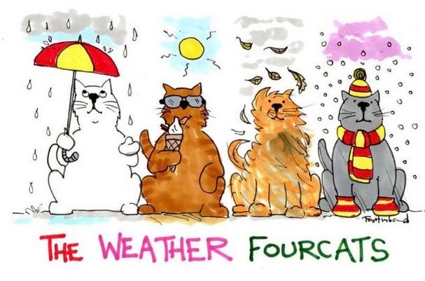 Weatherfourcats.jpg.5865e4a11eb3c1228c8d558b34cb9a18.jpg