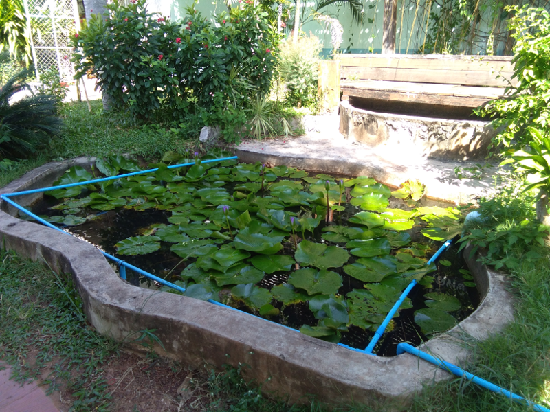schoolpond.png.0b814e9c409ab7fbcb7035cfcb034311.png