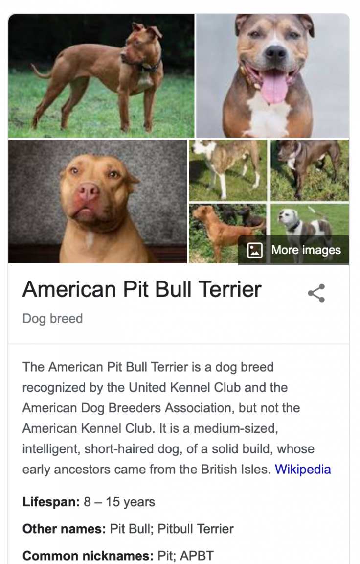 Screenshot 2022-01-31 at 12.21.20.png